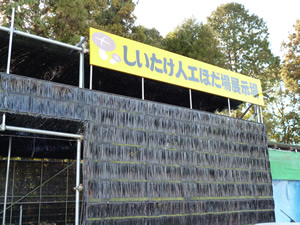 展示コーナー